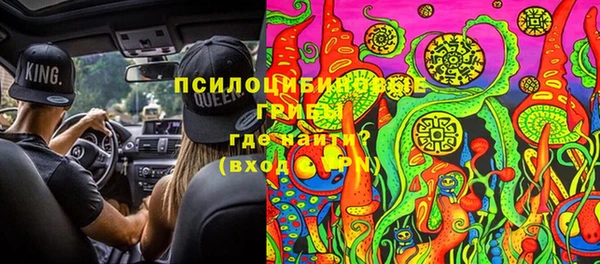 гидра Алзамай