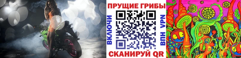 Купить где  Менделеевск  Галлюциногенные грибы MAGIC MUSHROOMS 